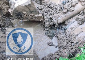 桐乡水管漏水检测公司5